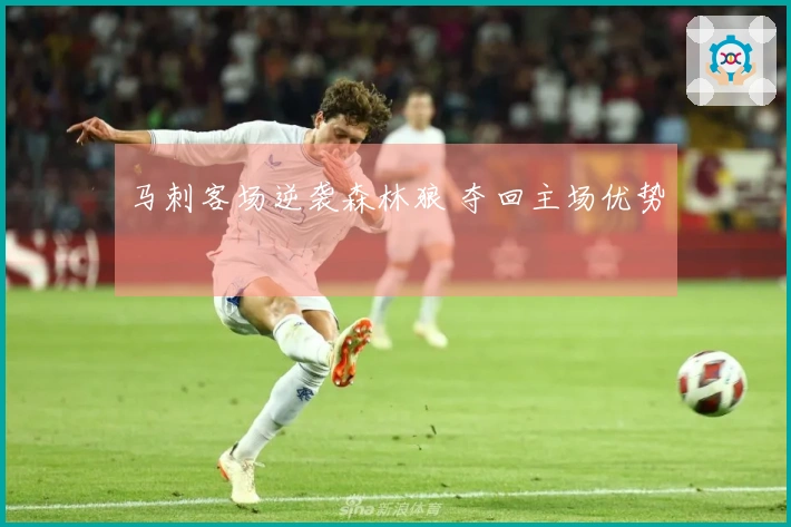 马刺客场逆袭森林狼 夺回主场优势